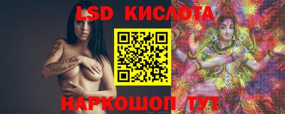 крисы Берёзовский