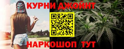 крисы Берёзовский