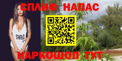 крисы Берёзовский