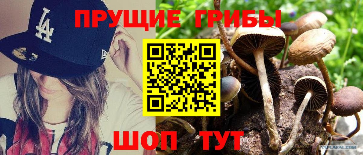 Псилоцибиновые грибы Magic Shrooms  Галлюциногенные грибы Magic Shrooms  Балахна  Вход с VPN 