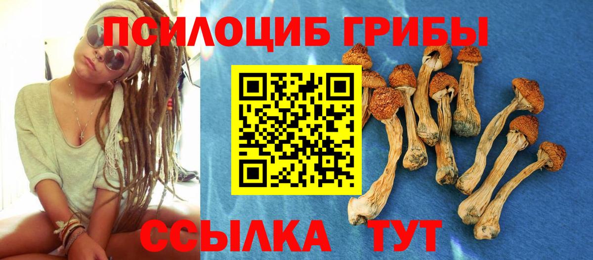 Галлюциногенные грибы GOLDEN TEACHER Балахна